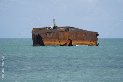 The shipwreck Mara Hope, an oil tanker, in the green ocean near Fortaleza Ceará, Brazil. photo