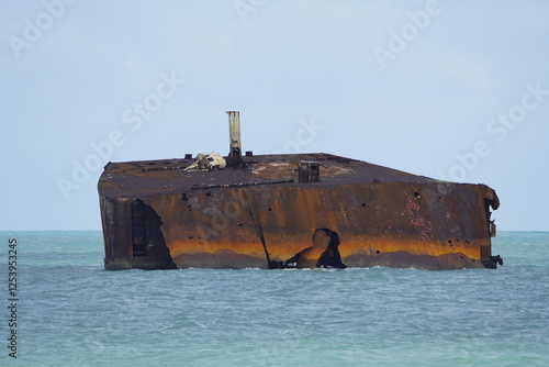 The shipwreck Mara Hope, an oil tanker, in the green ocean near Fortaleza Ceará, Brazil. photo