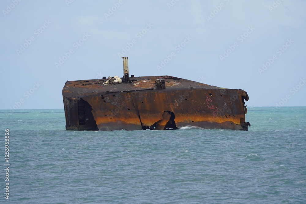 The shipwreck Mara Hope, an oil tanker, in the green ocean near Fortaleza Ceará, Brazil. The shipwreck Mara Hope, an oil tanker, in the green ocean near Fortaleza Ceará, Brazil.