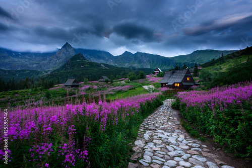 Fototapeta Naklejka Na Ścianę i Meble -  tatry
