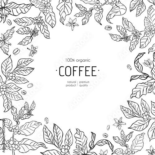 Botanical coffee plant frame with leaves, berries, flowers, and coffee beans in line art style. Black and white decorative border with text. Template for branding, packaging, label design.