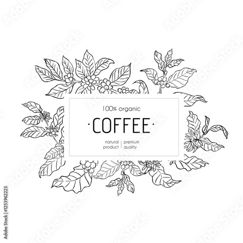 Coffee plant frame with leaves and berries in line art style. Rectangular label with text in the center. Black and white botanical illustration. Template for branding, packaging, and label design.