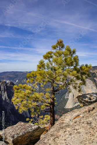 Stunning and Majestic Rocky Peaks Set Amidst a Beautiful Scenic Mountain Landscape, Yosemity National Park, USA photo