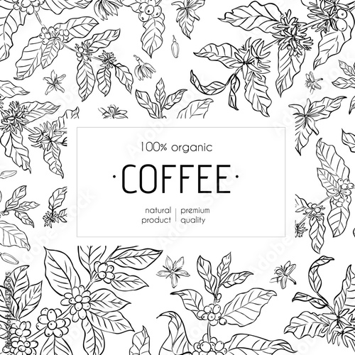 A black and white coffee packaging design featuring hand-drawn coffee plant branches, beans, and flowers with an elegant organic theme.