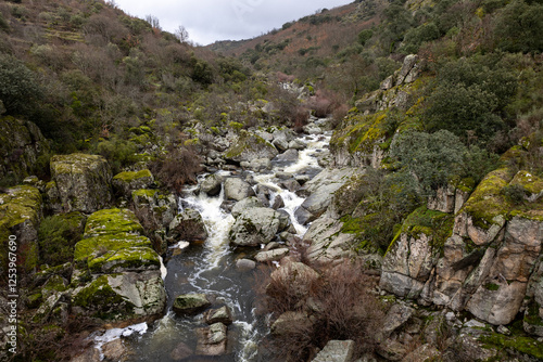 Serene Stream Flowing Through Rocky Landscape photo