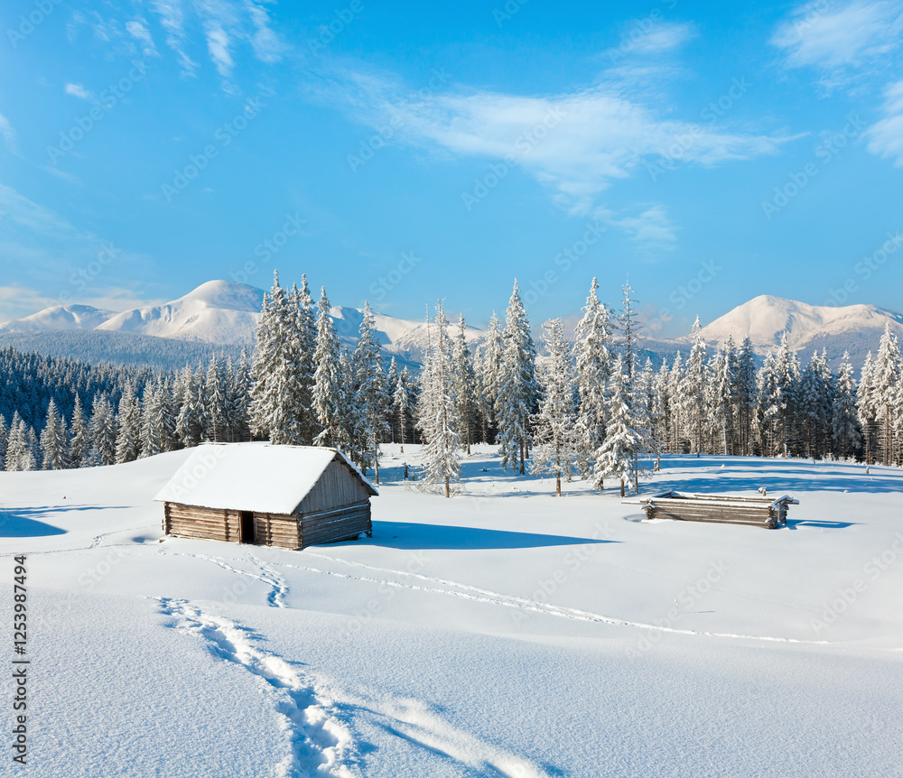 Winter calm mountain landscape with shed and mount ridge behind (Carpathian Mountains, Ukraine)