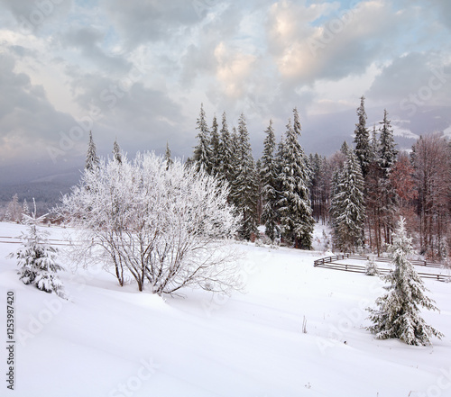 Obraz na płótnie Winter dull country mountain landscape with fence and fir trees w salonie