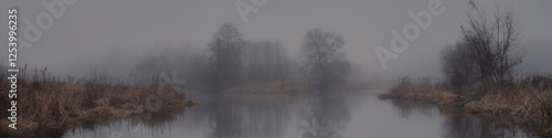 Valokuva serene misty natural landscape