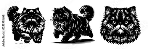 Persian cat vector set in three different poses