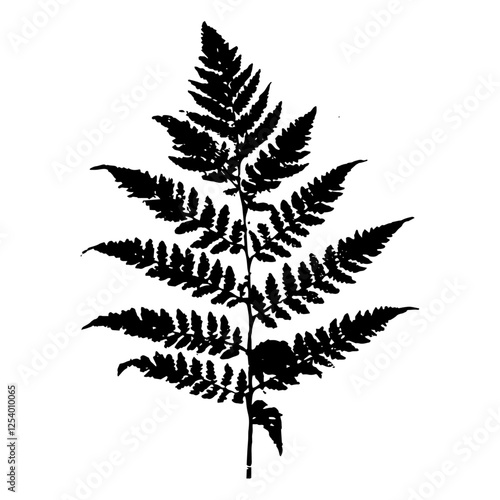 fern branch vector illustration