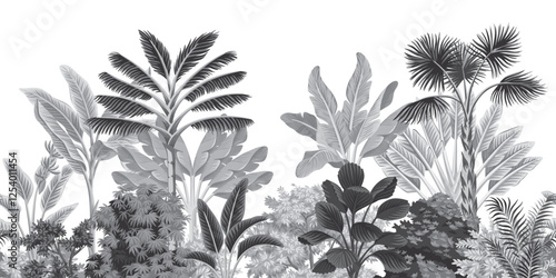 Tropical vintage botanical palm trees, banana tree, grey plants floral seamless border white background. Exotic jungle wallpaper.