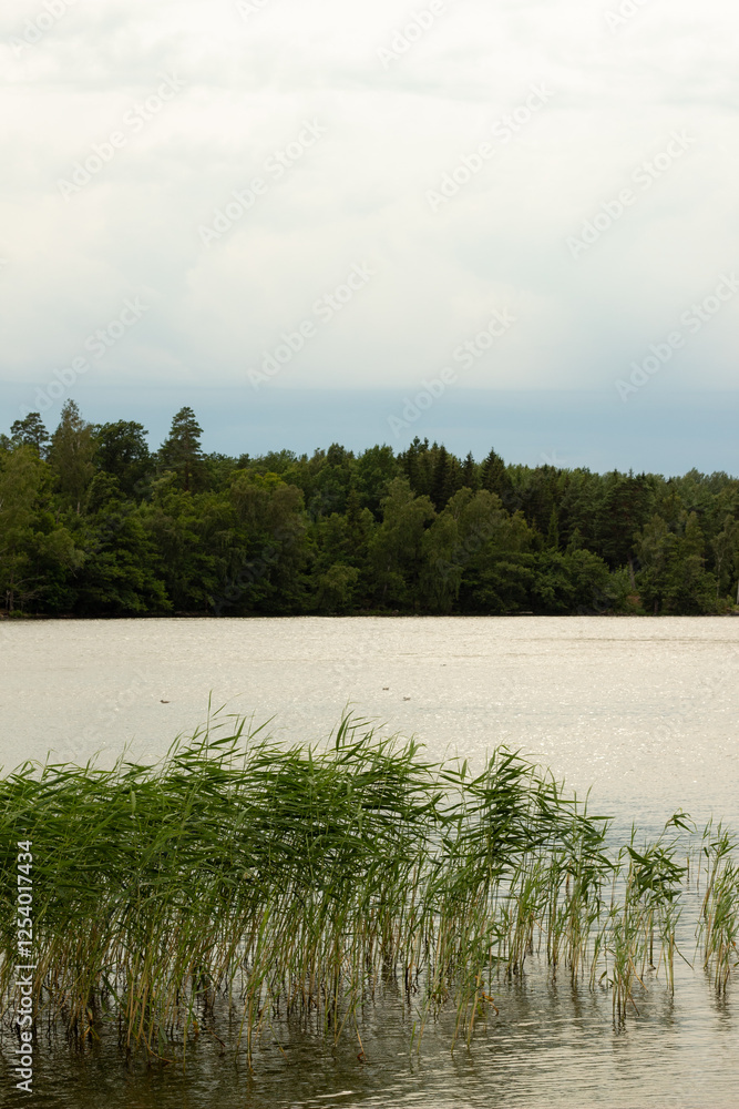 Thunderstorm approaching. Sweden, July 2024 Thunderstorm approaching. Sweden, July 2024