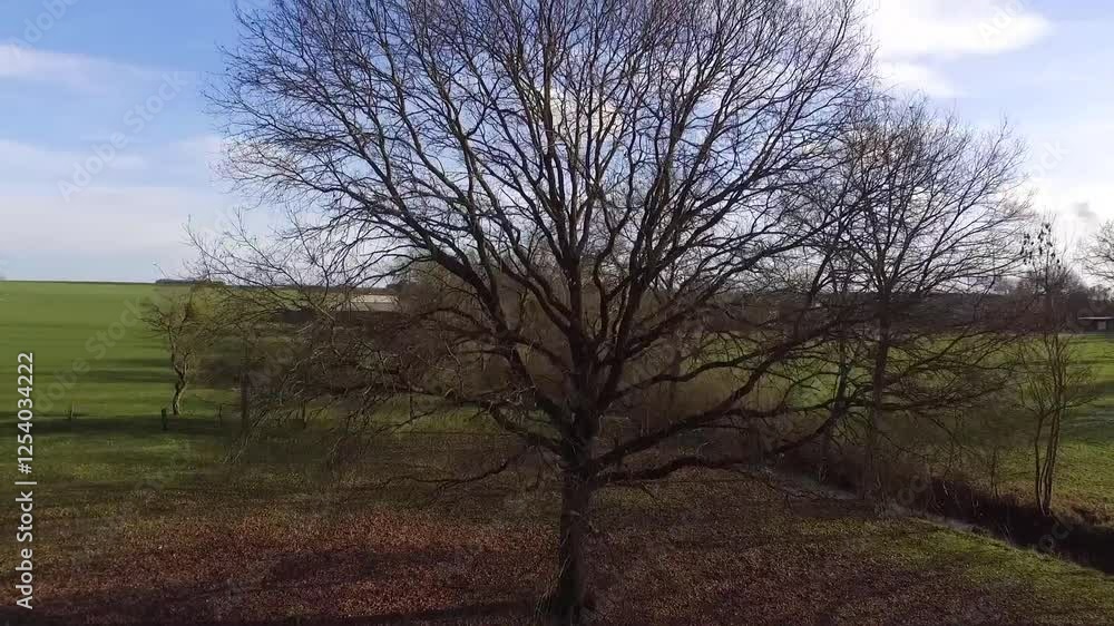 A drone soars over a giant tree, revealing a stunning view of a French village, vast fields, and a distant nuclear power plant. A drone soars over a giant tree, revealing a stunning view of a French village, vast fields, and a distant nuclear power plant.