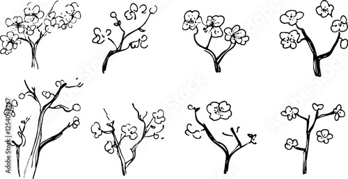 A collection of hand-drawn sketches of flowering branches, showcasing various styles and arrangements of blossoms and twigs.