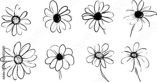 A collection of hand-drawn daisy flowers in various styles and orientations, showcasing their unique shapes and details.