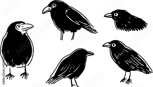 A collection of five stylized black bird illustrations, showcasing different poses and angles. The birds have distinct features like beaks and feathers, rendered in a simple, artistic style.