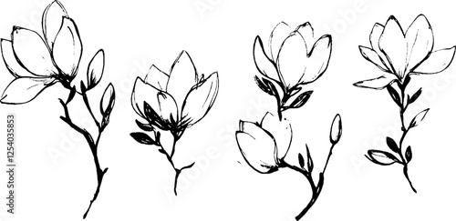 A collection of hand-drawn magnolia flowers and branches, showcasing various stages of bloom. The illustrations feature delicate petals and leaves, emphasizing natural beauty.