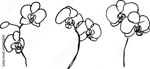 A minimalist line drawing of three orchid flowers, showcasing their elegant shapes and delicate features. The design emphasizes simplicity and artistic expression.