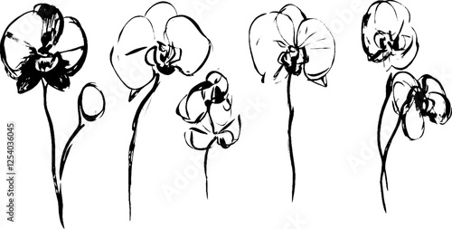 A series of five elegant sketches of orchids, showcasing their delicate petals and slender stems in a minimalist black and white style.