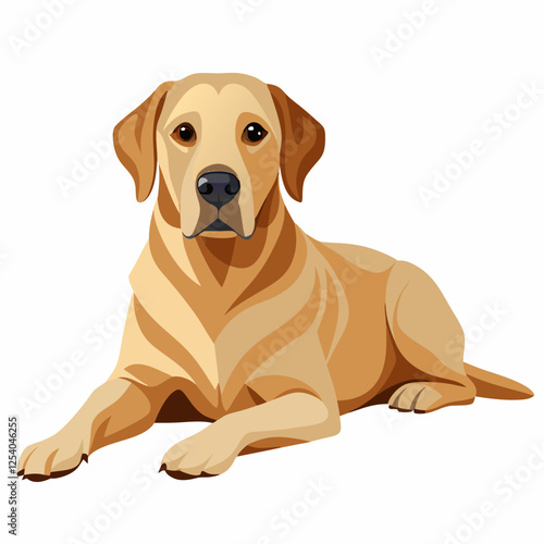 labrador retriever dog isolated on white, Color vector illustration. Pet animal, Cartoon Vector 