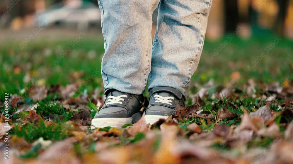 Legs of young boy sauntering along lawn. Legs of boy doing steps on park lawn. Legs of young boy walking on way across lawn with vivid thick carpet of leaves creating pleasant and playful scene Legs of young boy sauntering along lawn. Legs of boy doing steps on park lawn. Legs of young boy walking on way across lawn with vivid thick carpet of leaves creating pleasant and playful scene