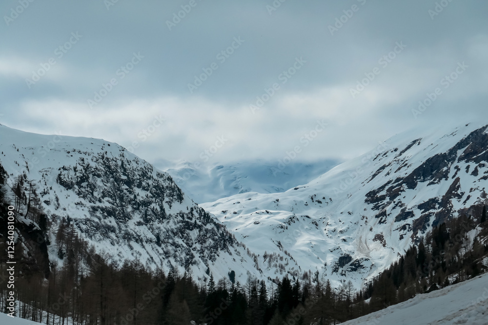 Obraz premium Snow-covered mountains rise majestically in Matrei in Osttirol, Austria, their peaks veiled in mist. Pine trees stand guard at the base. Alpine scenery. Remote winter landscape in Austrian Alps
