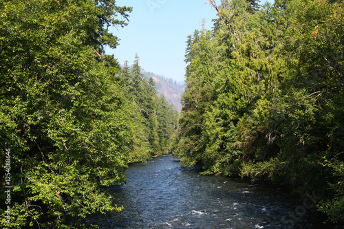 McKenzie River in Oregon