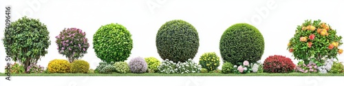 Wallpaper Mural Landscaped garden row; diverse shrubs, trees, white background; website design Torontodigital.ca