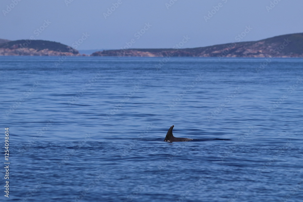 Fototapeta premium seascape