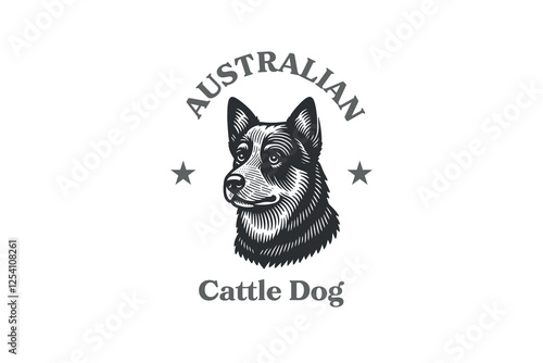  Australian Cattle Dog logo with script, black vintage engraving style icon