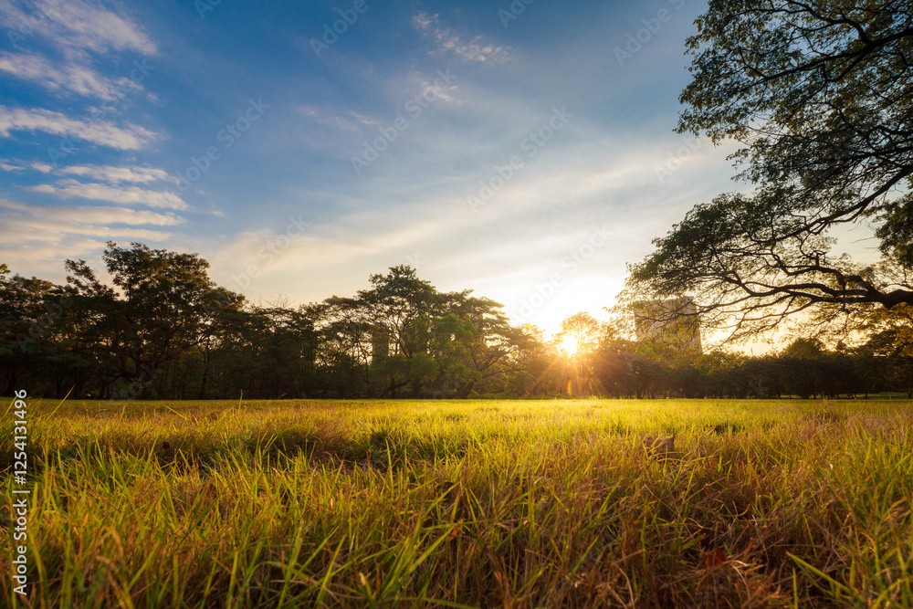 Obraz premium Nature Landscaps and Sunset 