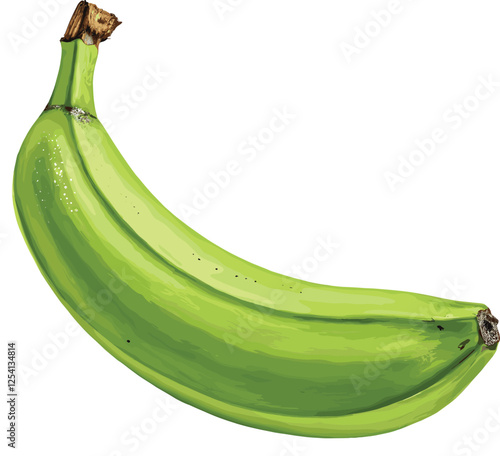  Green Banana fresh and unique touch to any creative project