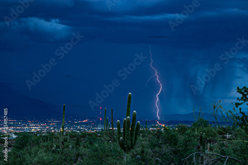 Monsoonal lightning action as a single bolt strikes the ground behind a giant saguaro cactus near Saguaro National Park in Tucson, Arizona. photo