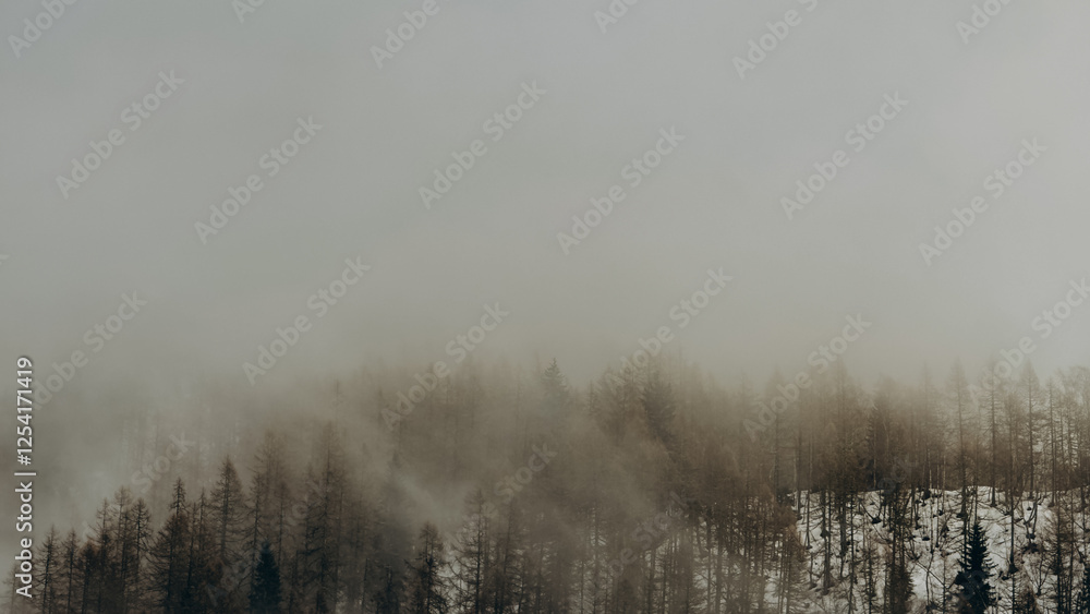 Fototapeta premium Winter Landscape With Fog Rolling Over A Snow Covered Forest Of Pine Trees Creating An Ethereal And Moody Atmosphere. French Alps, Col de Balme