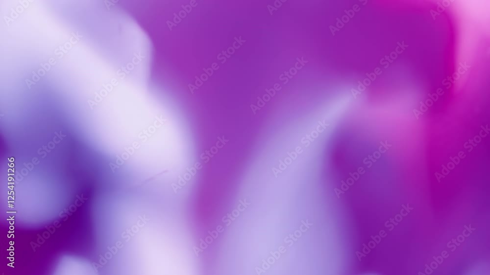 4k light leak real in camera effect pink lens flare film burn overlay background transition. 4k light leak real in camera effect pink lens flare film burn overlay background transition.