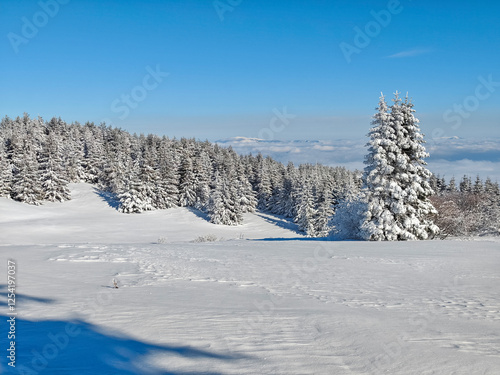 Winter Landscape of Vitosha Mountain, Bulgaria