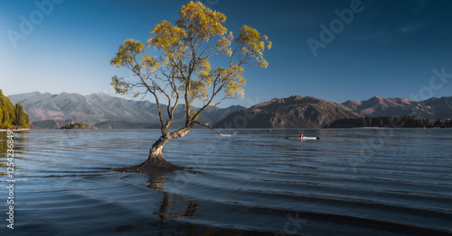 A beautiful tree in a lake in the mountains.