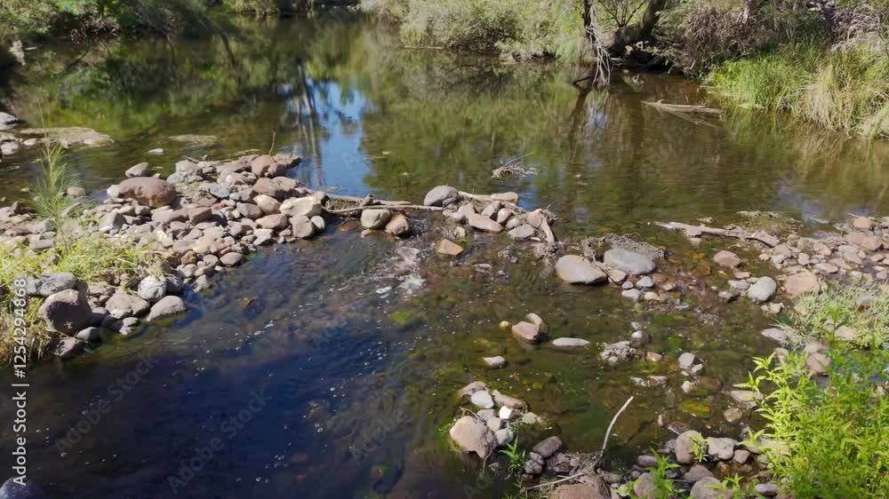 A stream of water flowing into the Severn River out near Strathbogie, NSW, Australia A stream of water flowing into the Severn River out near Strathbogie, NSW, Australia