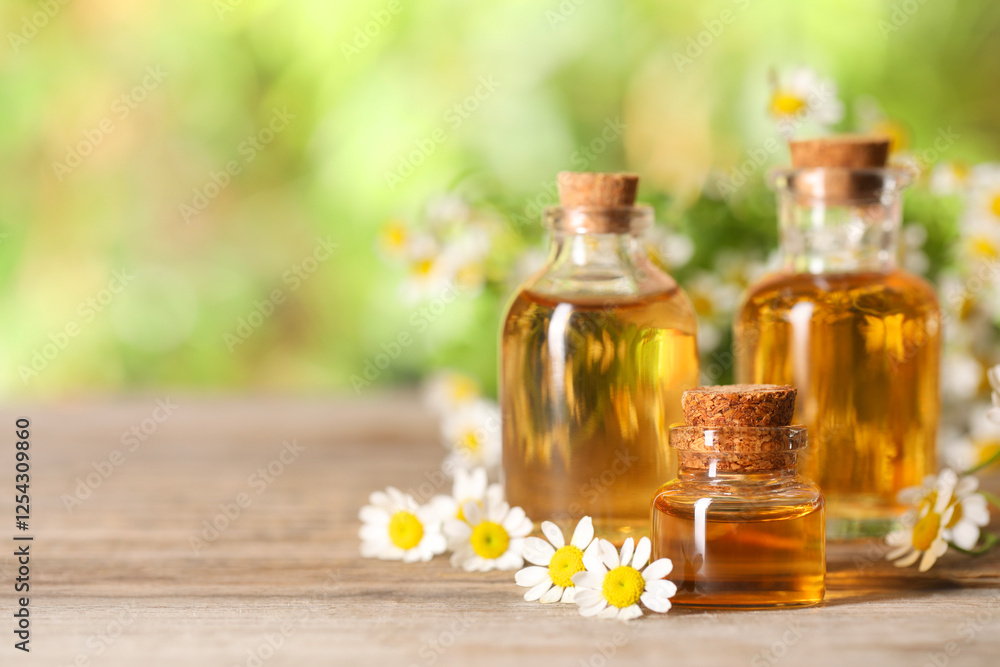 Bottles of essential oil and chamomile flowers on wooden table, closeup. Space for text Bottles of essential oil and chamomile flowers on wooden table, closeup. Space for text