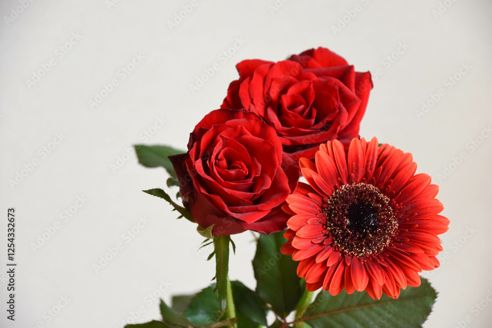 薔薇とガーベラ