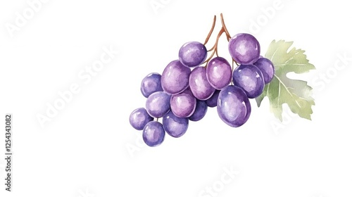 A cluster of ripe purple grapes with green leaves on a white background, ideal for food-related designs