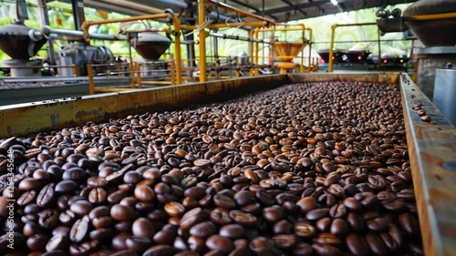 Coffee Bean Processing: A Glimpse into the Journey from Bean to Cup