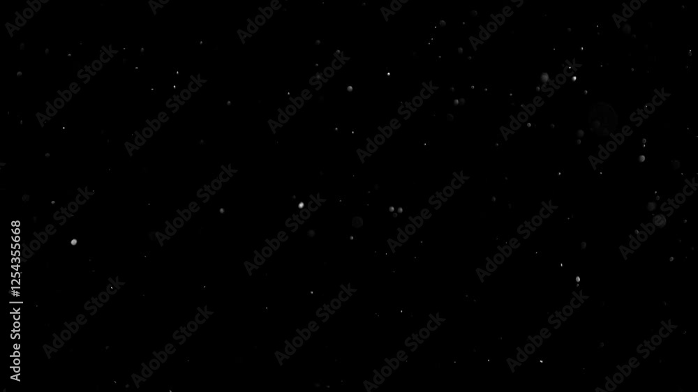 Natural Organic Dust Particles Floating On Black Background. Glittering Sparkling Particles Randomly Spin In The Air With Bokeh. Dynamic Particles With Fast And Slow Motion. Shimmering Dust In Space. Natural Organic Dust Particles Floating On Black Background. Glittering Sparkling Particles Randomly Spin In The Air With Bokeh. Dynamic Particles With Fast And Slow Motion. Shimmering Dust In Space.