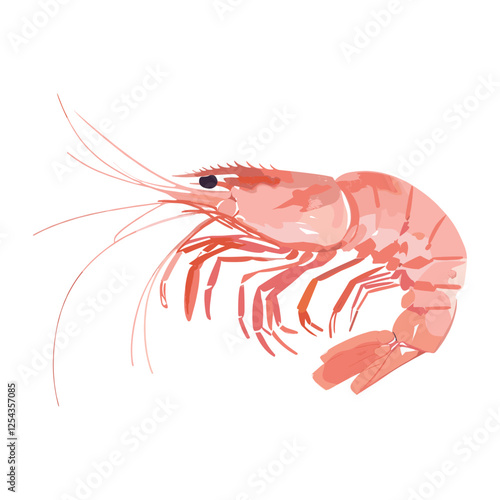 Cute shrimp illustration seafood animal invertebrate vector