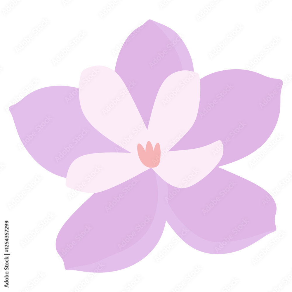 Magnolia flower illustration simple petal vector Magnolia flower illustration simple petal vector