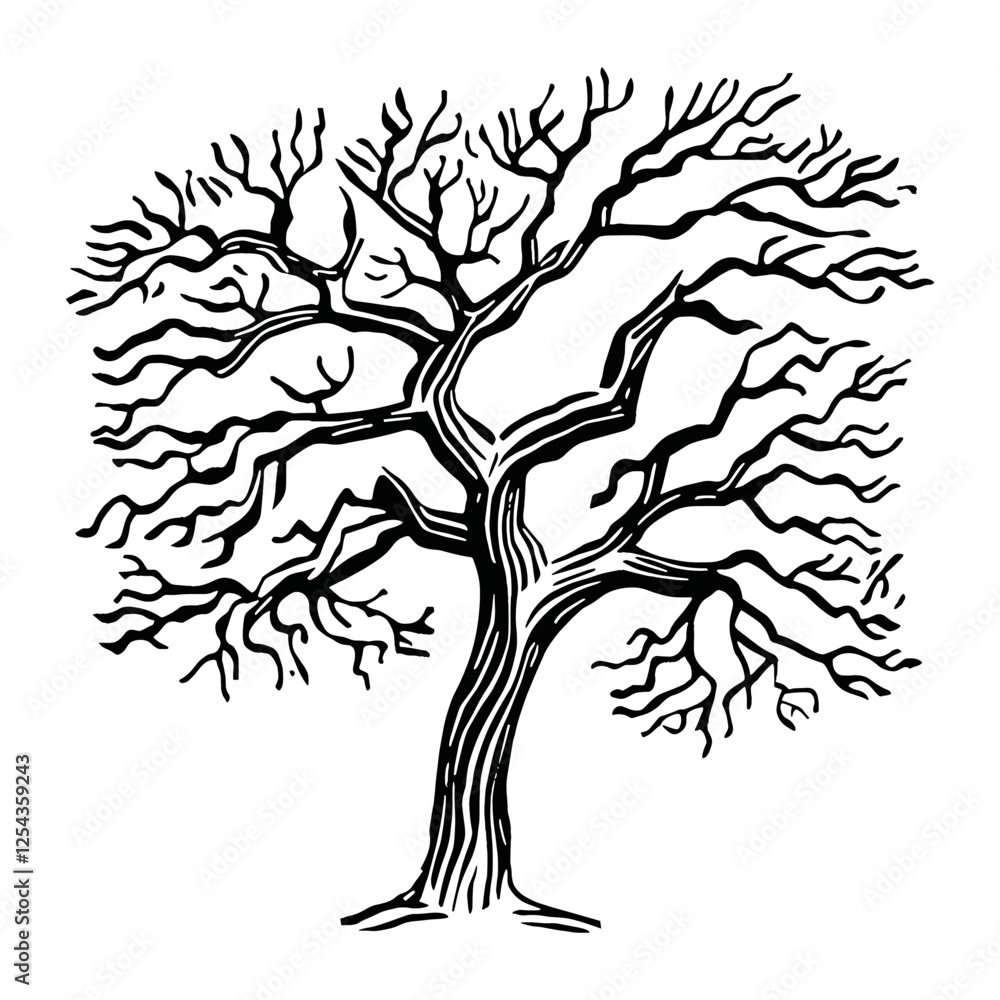 Oak tree drawing art white vector Oak tree drawing art white vector