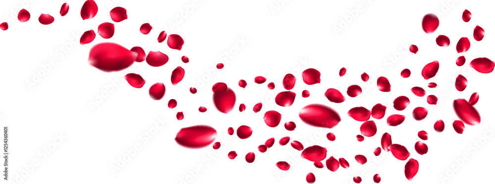 Flying rose petals or sakura flower blossom vector background, spring floral Flying rose petals or sakura flower blossom vector background, spring floral