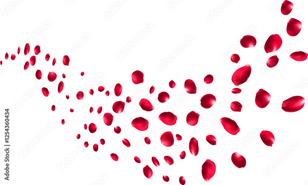 Flying rose petals or sakura flower blossom vector background, spring floral Flying rose petals or sakura flower blossom vector background, spring floral
