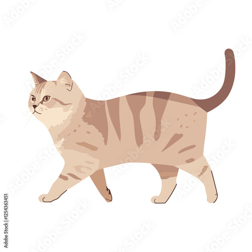 British shorthair cat walking illustration animal elegant vector