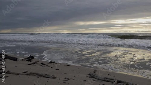 Wallpaper Mural Stormy Seascape: Driftwood on a Grey Beach at Sunset Torontodigital.ca